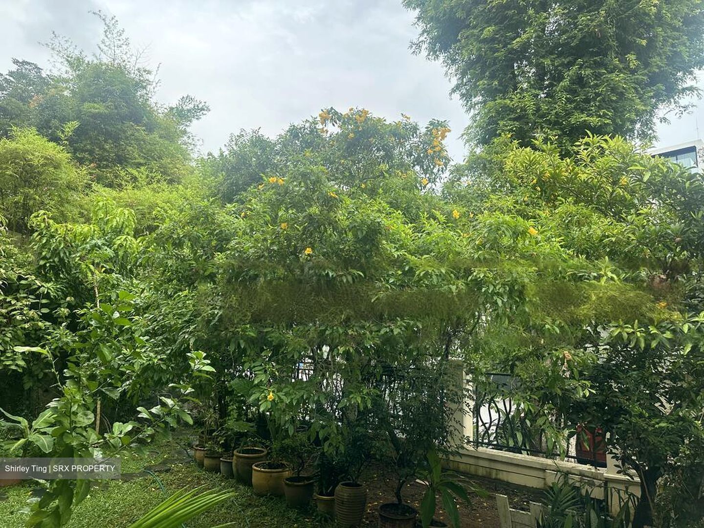 Watten Estate (D11), Detached #486668501